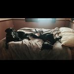 Gauge & Drake & DAISY - @gauge_drake_daisy - Instagram