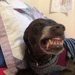 🌻Daisy☀︎︎ - @daisy._.driscoll - Instagram