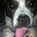 Daisy Drummond - Facebook