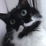 daisy - @daisyduffus - Instagram