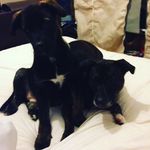 Rosey And Daisy Duffy - @rose_daisy457 - Instagram