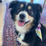 Daisy - @daisy.duncan - Instagram