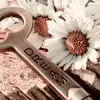 daisy - @daisyduncan3 - TikTok