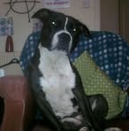 Daisy Duncan - Facebook