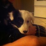 Daisy Duncan - @daisyduncan3 - Instagram