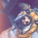 daisy duncan ❤ - @daisy_doo1235 - Instagram