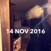 Daisy Dunham  - @daisy.dunham - TikTok