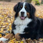 Daisy - @daisy_dunning11 - Instagram