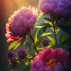 Daisy Duong - @daisydesbh8 - TikTok