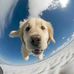 Daisy Duong - Facebook