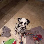 Daisy❤️ - @daisy.duquesa - Instagram