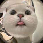 ₍ ⺣̤̬ ₎ - @daisydyemyday - Instagram