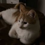 daisy - @daisydyer18 - Instagram