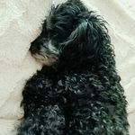 Daisy Duke Dyer - @daisydukeonfire - Instagram