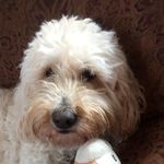 Daisy+Sariah - @daisy.doodle.dyer - Instagram