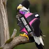 Daisy The ESSA Bold Eagle 🦅 - @daisy.the.essa.bo - TikTok