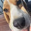 daisydeagle - @daisydeagle - TikTok