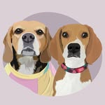 Peach & Daisy 🐶🎀 🇨🇱 - @peachydaisy.beagles - Instagram