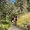 Daisy Early Learning - @daisywang0125 - TikTok