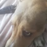 daisyearly - @daisyearly7 - Instagram