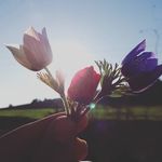 Issız adam¥ - @daisy_season0 - Instagram