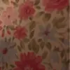 daisy ❤️ - @daisyellis06 - TikTok