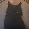 daisyellis - @daisyellis - TikTok