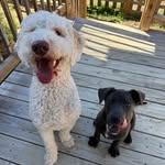 Daisy Mae and Ivy Ellison - @daisyandivyellison - Instagram