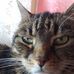 Daisy Engel - Facebook