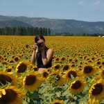 Daisy Erickson - @chenniel_photographer19 - Instagram