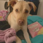 Daisy - @daisydukeerwin - Instagram