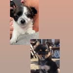 @erwin__daisy - Instagram