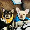 Daisy & Escobar - @daisyandescobar - TikTok