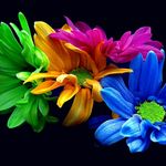 Daisy Escobar - @daisy_escobar47 - Instagram