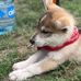 Dayz Escobedo - Facebook