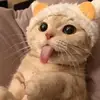 daisyespada1 - @daisyespada1 - TikTok