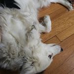Daisy - @daisy.ewing - Instagram
