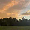 Daisy Sewing - @daisy.sewing - TikTok