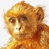 Daisy Fairchild - @daisy.fairchild - TikTok