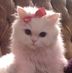 Daisy Fairchild - Facebook