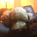 Daisy Farley - @daisyfarley - Instagram
