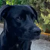 Susan Farley - @daisy_farley..._ - TikTok