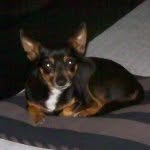 Daisy Feldman - @daisy_feldman2008 - Instagram
