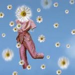 Feria Daisy Flower - @feriadaisyflower_ - Instagram