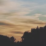 Daisy Fermin - @dsisyfermin - Instagram