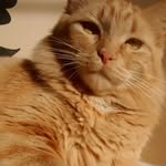 Daisy and ferris mewler - @daisy_and_ferris - Instagram