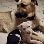 Ｄａｉｓｙ - @daisyhunterferriss - Instagram