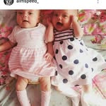 daisy grace ferris - @daisylovesfloandtilly - Instagram