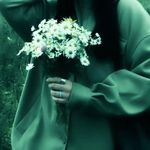 Daisy._.Field✨ - @_.daisy_.field._ - Instagram