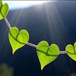 Daisy Field Organics - @daisy.field.organics - Instagram